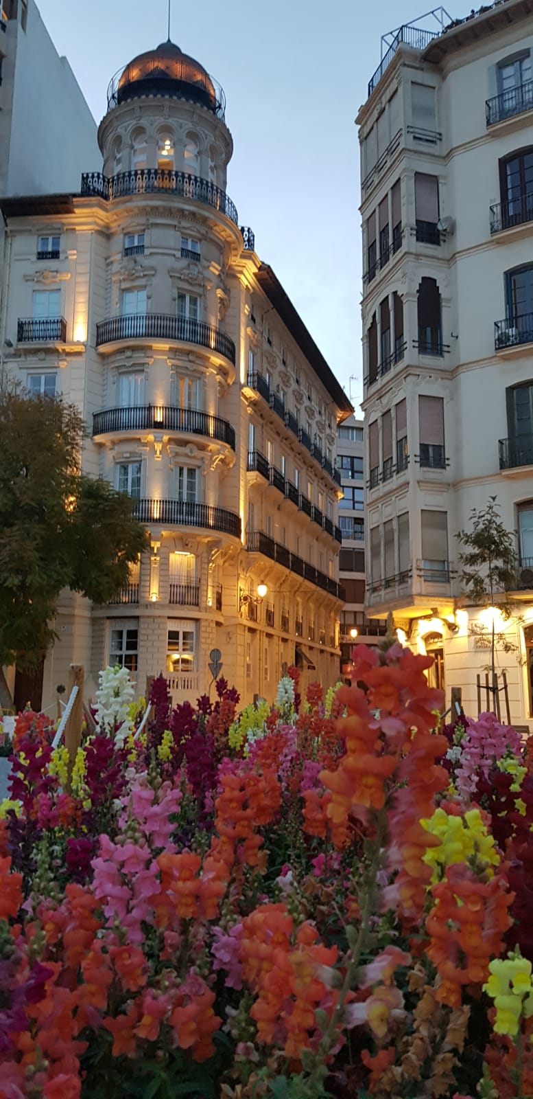 Alicante, lived. Spain 🇪🇸 Google Map – Hidden Gems, Food & Must-See Spots