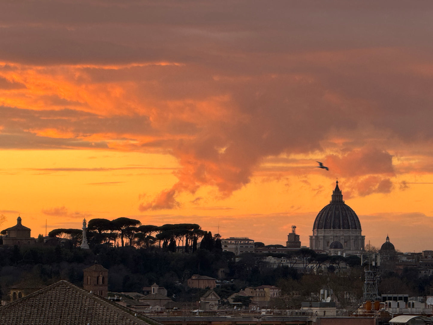 Rome, lived. Italy 🇮🇹 Google Map – Hidden Gems, Food & Must-See Spots