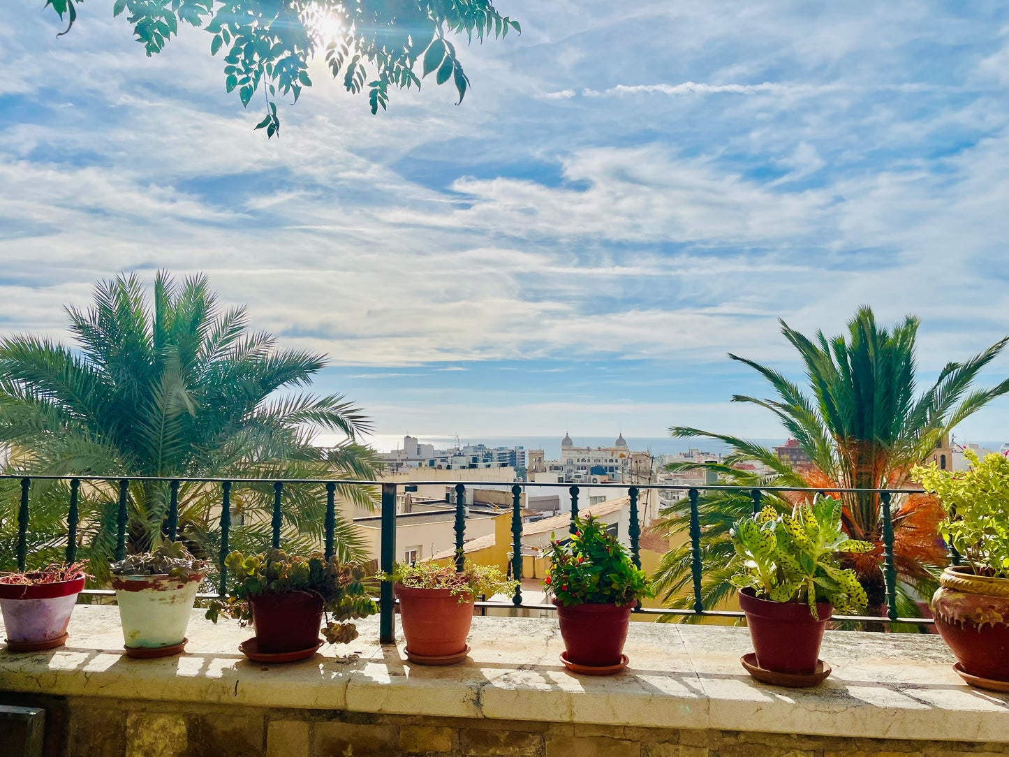 Alicante, lived. Spain 🇪🇸 Google Map – Hidden Gems, Food & Must-See Spots