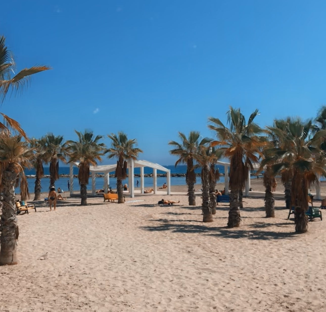 Alicante, lived. Spain 🇪🇸 Google Map – Hidden Gems, Food & Must-See Spots